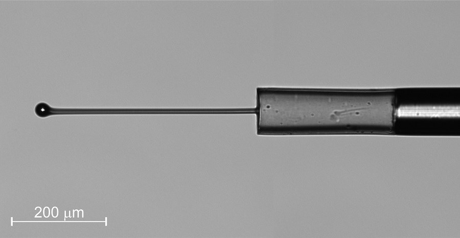  <em></em>
研究人员已经开发出一种微型光纤力传感器,可以测量小物体施加的极小的力。它可以浸入各种液体中。 对于大多数应用，它甚至不需要额外的包装。Denis Donlagic, University of Maribor供图