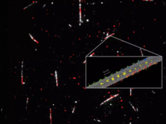 超高时空分辨率显微镜观察单个蛋白质的移动，便于研究病变的蛋白质本质