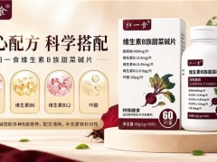 50岁人群养护同型半胱氨酸的关键！选对维生素B族，平稳HCY数值更安心|附2026品质维生素B族盘点